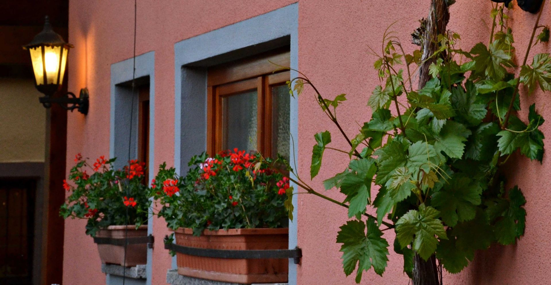 Abendstimmung in der Schlatthof Strausse Freiburg