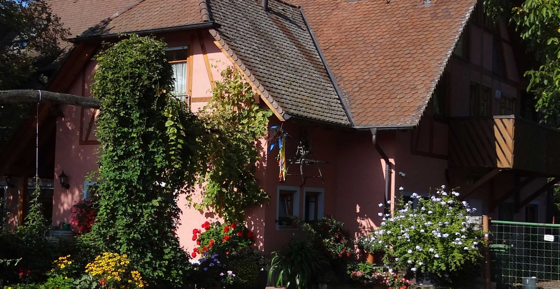 Die Schlatthof Strausse Freiburg